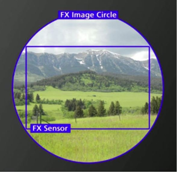 FX sensor